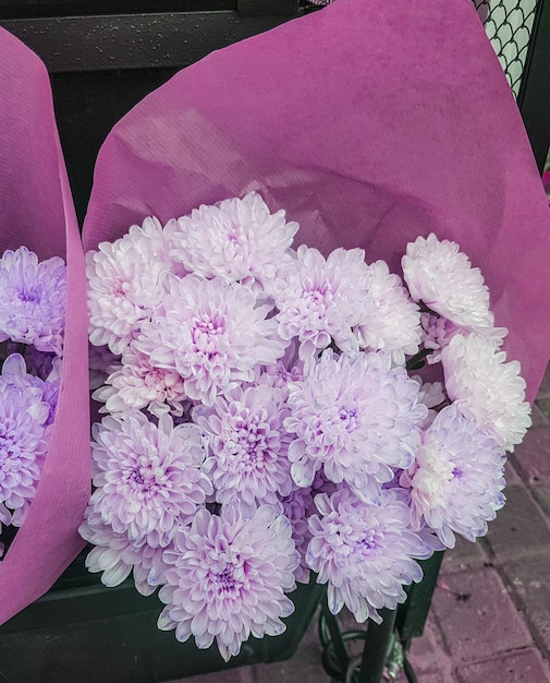 Lindos buquês de crisântemos em papel kraft marrom no balcão de uma floricultura vertical