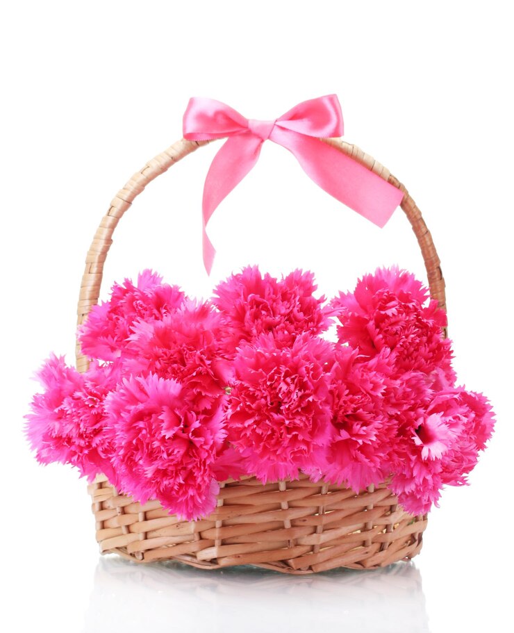 Foto lindos cravos rosa em uma cesta isolada no branco