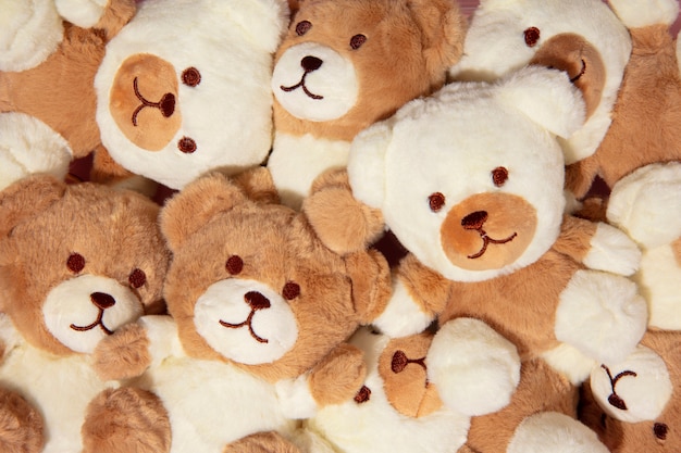 Foto lindos y esponjosos juguetes de oso.