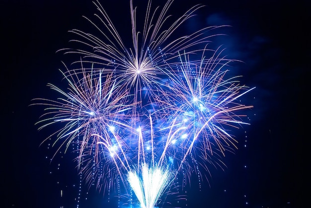 Lindos fogos de artifício no céu negro