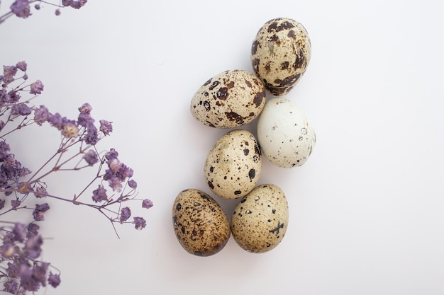 Lindos ovos de páscoa com decoração