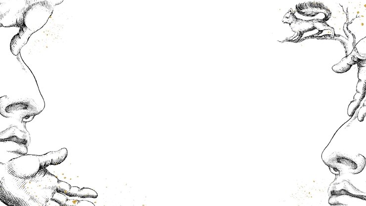 Foto line art face frame png mídia mista vintage