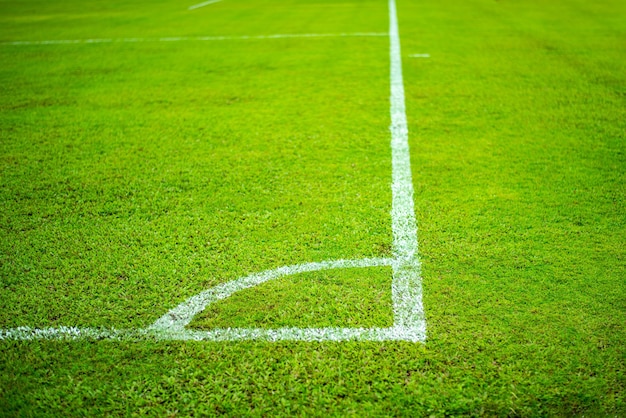 Línea blanca en el campo de fútbol, hierba verde