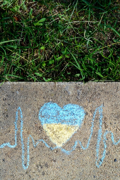 Línea de cardiograma con corazón dibujado con tiza azul y amarilla sobre asfalto cerca de la vista superior de la hierba verde