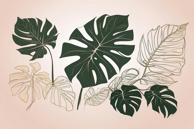 Foto una línea de dibujo vector monstera hoja y hojas de palma arte moderno de una sola línea contorno estético perfecto para la decoración del hogar como carteles