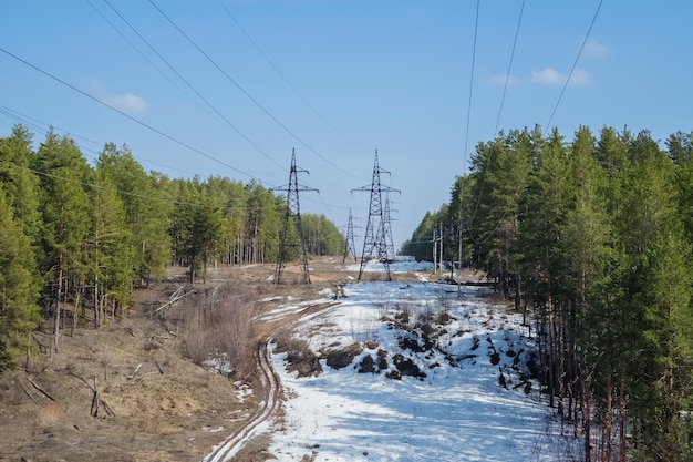 Línea eléctrica de alta tensión entre el bosque de coníferas a principios de primavera