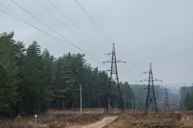 Línea eléctrica de alta tensión entre bosques de coníferas