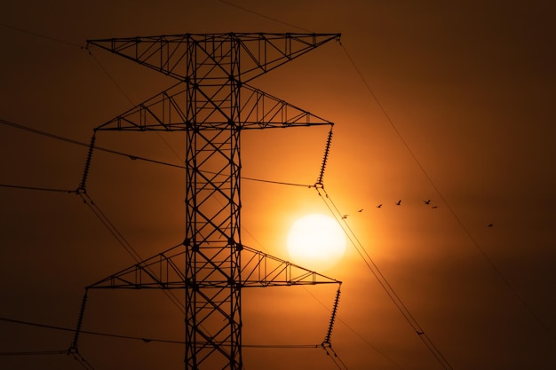 Línea eléctrica en el cielo del atardecer