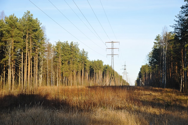 Línea eléctrica y claros