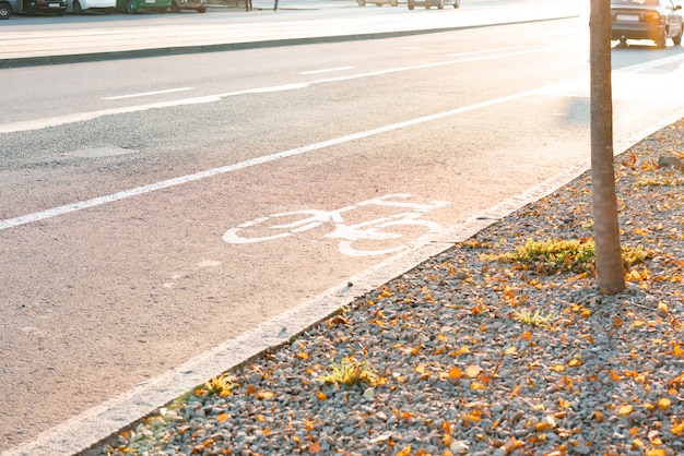 Línea especial para bicicleta sobre el asfalto.