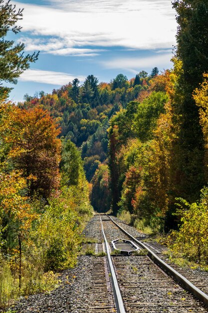 Foto la línea ferroviaria conduce a los colores del otoño en vermont.