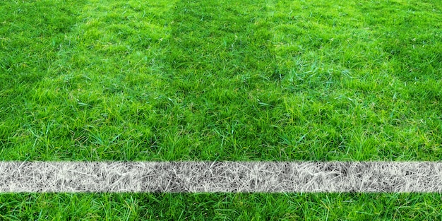 Foto línea de fútbol en la hierba verde del campo de fútbol. fondo de campo de césped verde.