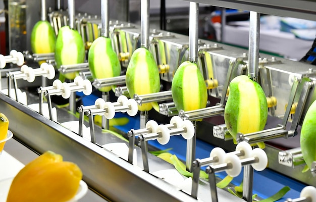 Línea de producción automática de máquinas peladoras de mango en maquinaria de equipos en fábrica