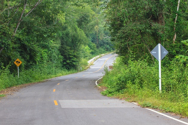 Línea de tráfico de símbolos en la carretera.