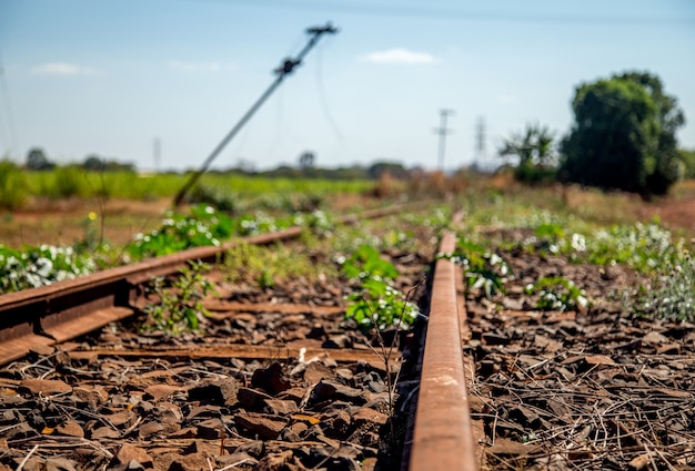 Linea de tren