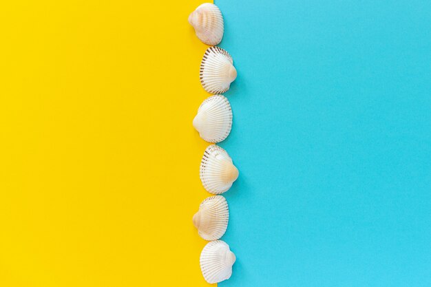 Línea vertical conchas marinas sobre fondo de papel de color amarillo y azul en un estilo minimalista