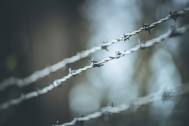 Líneas de alambre de púas para demarcar la frontera