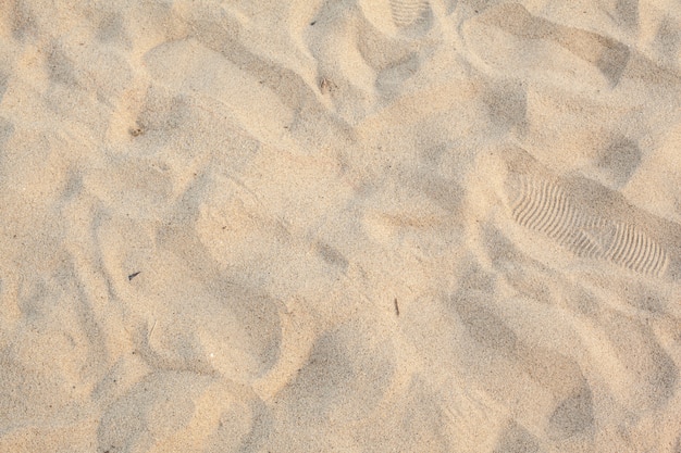 Líneas en la arena de una playa.