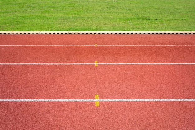 Líneas blancas del estadio y la textura de hipódromos de carreras de caucho rojo pista de carreras