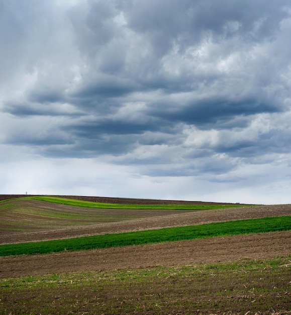 Líneas de colores y colinas de campos primaverales bajo un hermoso cielo tormentoso con nubes contrastantes