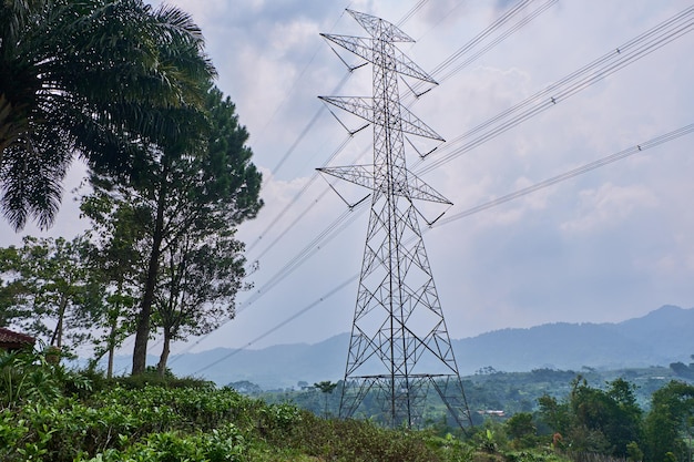 Líneas eléctricas aéreas que se elevan por encima de los jardines de té