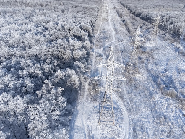Líneas eléctricas de alto voltaje a través del bosque de invierno.