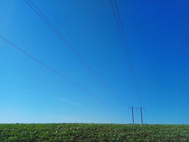 Líneas eléctricas en el campo.