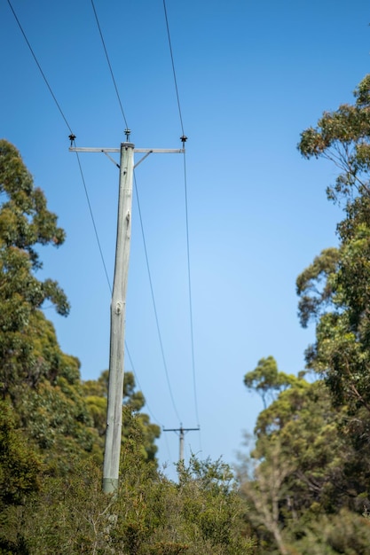 Líneas eléctricas en el monte