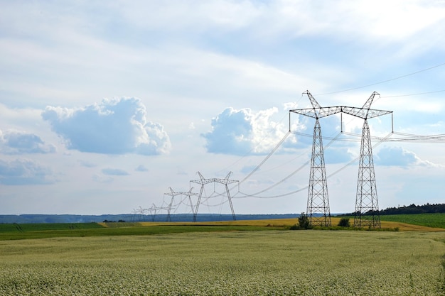 líneas eléctricas que atraviesan un campo agrícola