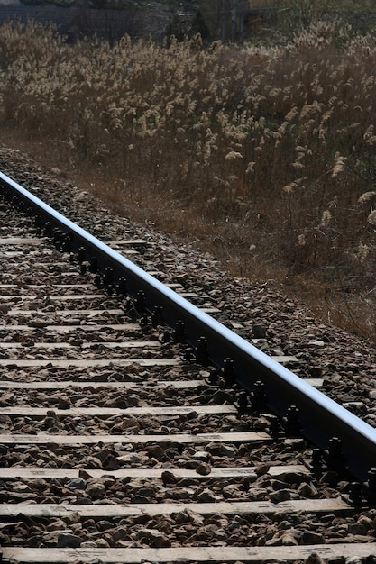 Líneas ferroviarias en la naturaleza con prados.