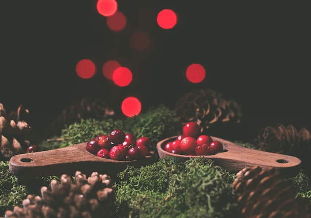 Foto lingonberries sobre um leito verde de musgo e pontos vermelhos contra um fundo preto