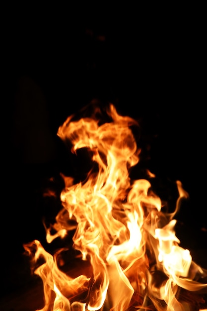 Línguas de uma chama de fogo de cor amarelo-alaranjado da queima de lenha