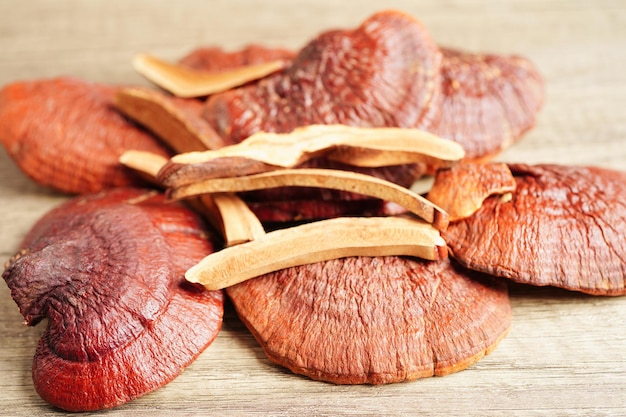 Lingzhi oder Reishi Pilz mit Kapseln Bio-natürliche gesunde Nahrung