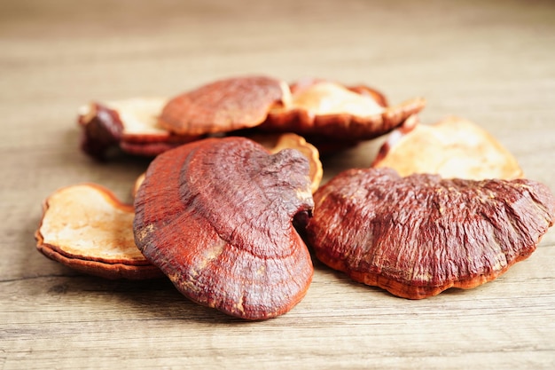 Lingzhi ou Reishi cogumelo com cápsulas alimentos orgânicos naturais saudáveis