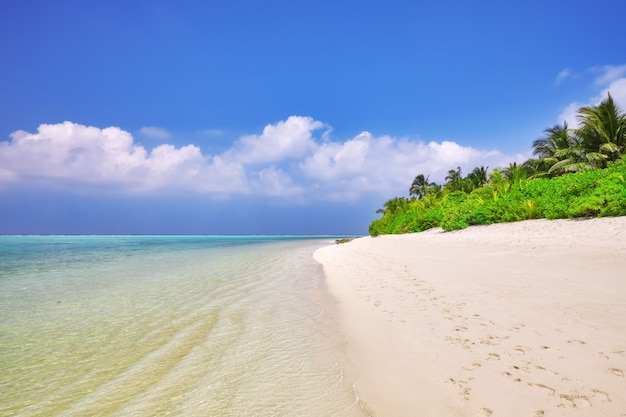 Linha costeira de uma ilha tropical nas maldivas e vista para o oceano índico.