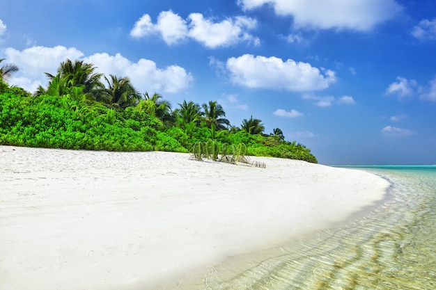 Linha costeira de uma ilha tropical nas Maldivas e vista para o Oceano Índico.