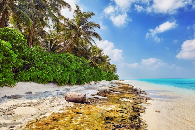 Linha costeira de uma ilha tropical nas Maldivas e vista para o Oceano Índico.
