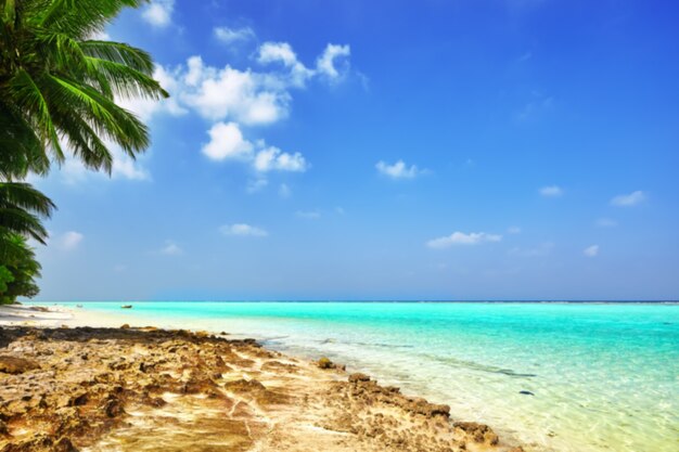 Linha costeira de uma ilha tropical nas Maldivas e vista para o Oceano Índico.