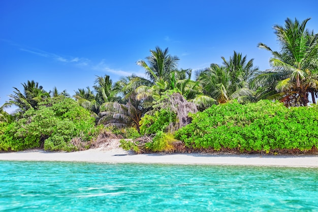 Linha costeira de uma ilha tropical nas Maldivas e vista para o Oceano Índico.