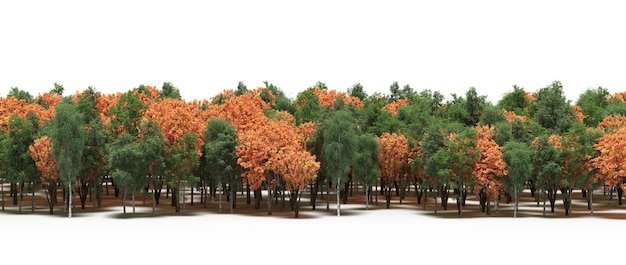 linha da floresta com sombras sob as árvores, isoladas no fundo branco, ilustração 3D, cg render