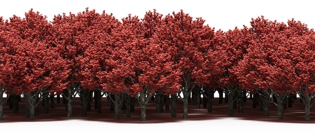 linha da floresta com sombras sob as árvores, isoladas no fundo branco, ilustração 3D, cg