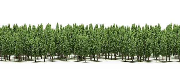 linha da floresta com sombras sob as árvores, isoladas no fundo branco, ilustração 3D, cg