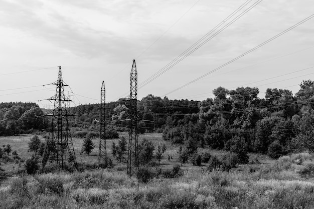 Linha de alta tensão na floresta