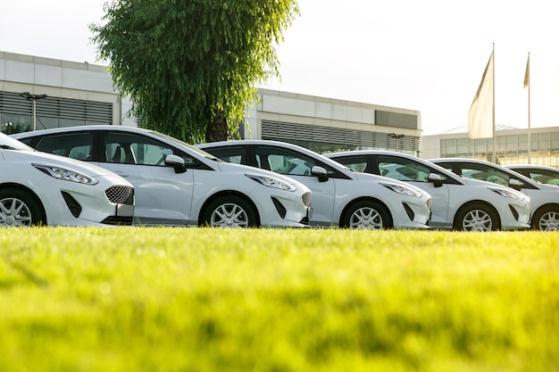 Linha de carros brancos novos em estoque na concessionária. carros não vendidos para venda.