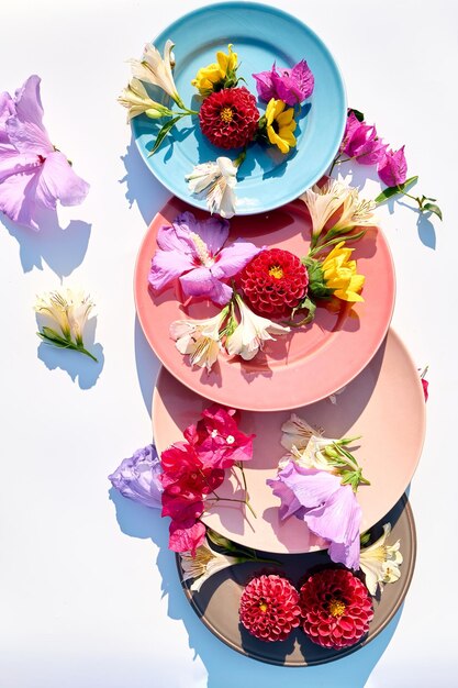 Linha de pratos com flores coloridas com espaço para texto