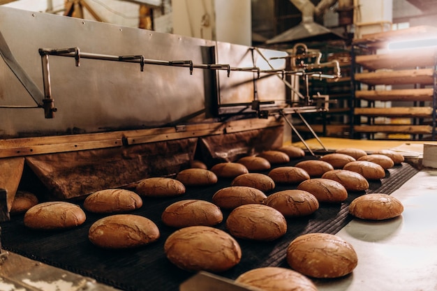 Linha de produção automática de padaria com biscoitos doces em máquinas de equipamentos de correia transportadora em oficina de fábrica de confeitaria produção industrial de alimentos