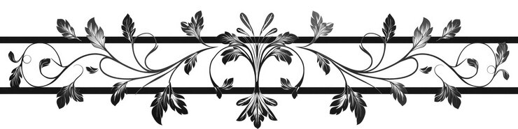 Foto linha de videira design de ornamento vintage divisor de texto decorativo para cabeçalhos