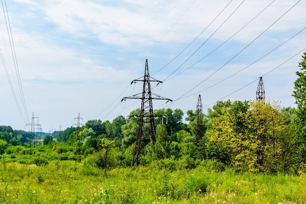 Linha elétrica de alta tensão em uma floresta