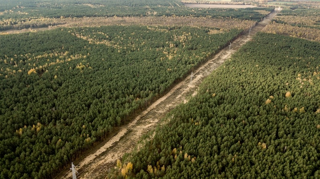 Linhas de alta tensão, registrando a vista superior da floresta de um zangão