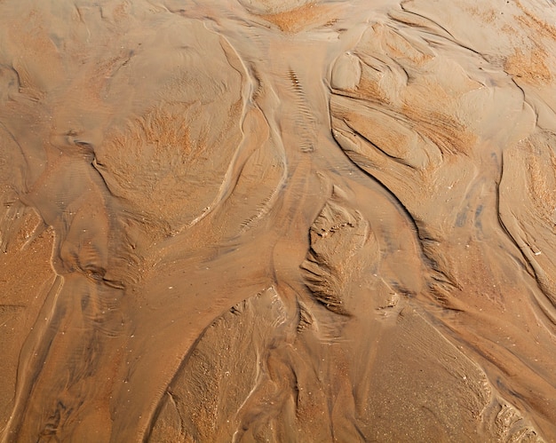 Foto linhas de areia na praia